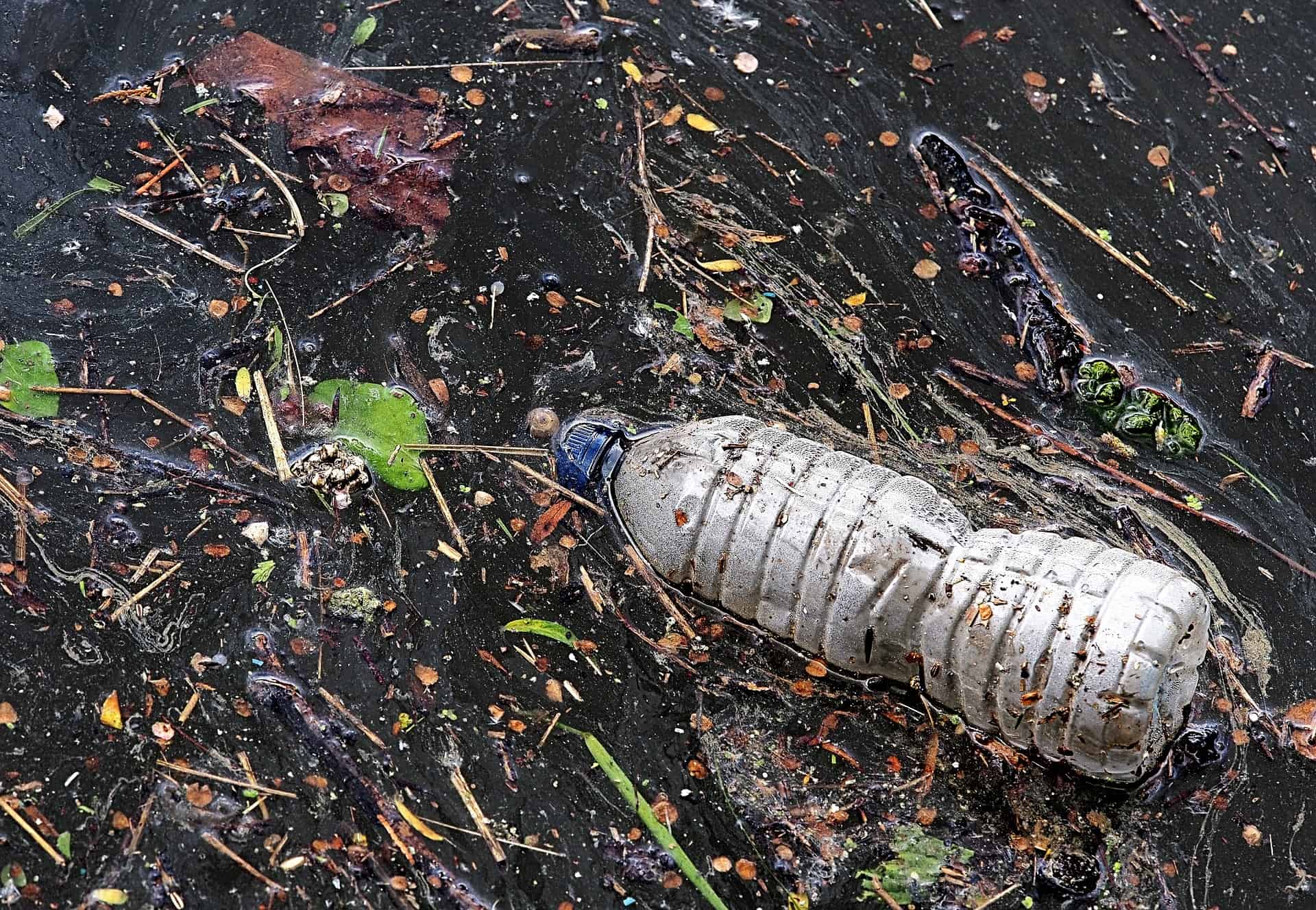 plastic-bottle-ocean