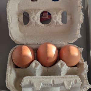 Eier in Pappschachteln